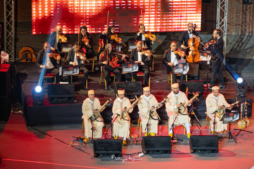 3l3a2571 avec accentuation bruit