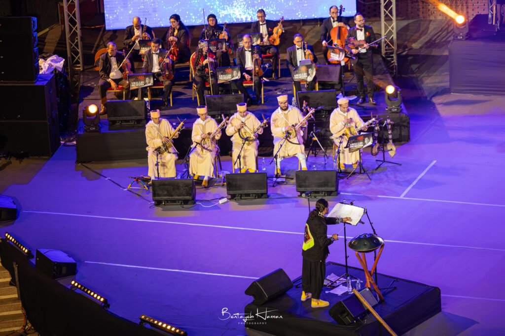 3l3a2576 avec accentuation bruit